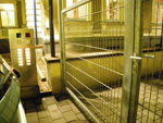 Photos