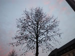 2009-11-18_16-22-06_IMGP1288.jpg