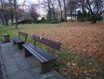 2009-11-18_16-24-52_IMGP1294.jpg