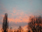 2009-11-18_16-26-33_IMGP1296.jpg