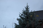 2009-11-23_16-17-52_DSC_1368.jpg