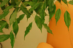 2009-11-25_04-24-27_DSC_1385.jpg