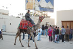 2009-12-03_16-44-05_DSC_1544.jpg