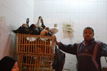 2009-12-04_17-16-49_DSC_1644.jpg