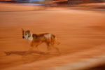 2009-12-04_17-41-52_DSC_1667.jpg