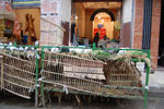 2009-12-06_15-09-30_DSC_1735.jpg