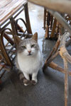 2009-12-06_16-15-08_DSC_1796.jpg