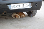 2009-12-08_17-46-39_DSC_1936.jpg