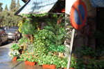 2009-12-09_14-55-31_DSC_1988.jpg