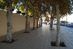 2009-12-09_15-34-49_DSC_1999.jpg