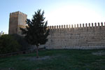 2009-12-09_15-56-19_DSC_2018.jpg