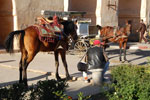 2009-12-11_15-26-54_DSC_2174.jpg