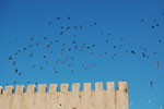 2009-12-11_16-08-45_DSC_2232.jpg