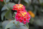 2009-12-12_16-52-13_DSC_2324.jpg