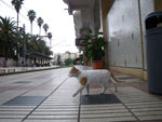 2009-12-13_13-14-35_IMGP1683.jpg