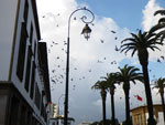 2009-12-13_16-02-50_IMGP1698.jpg