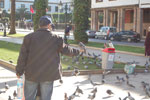2009-12-14_14-30-25_DSC_2362.jpg