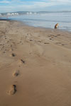 2009-12-17_16-20-08_DSC_2820.jpg