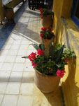 2009-12-18_10-55-50_IMGP1768.jpg