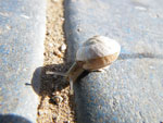 2009-12-18_13-20-00_IMGP1782.jpg
