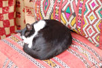 2009-12-19_15-12-24_DSC_3055.jpg