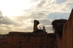 2009-12-19_16-43-00_DSC_3156.jpg