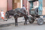 2009-12-19_17-09-20_DSC_3168.jpg
