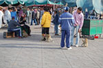 2009-12-20_14-55-29_DSC_3251.jpg