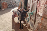 2009-12-20_15-16-38_DSC_3284.jpg