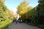 2009-12-20_16-08-25_DSC_3300.jpg