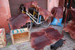 2009-12-20_17-20-33_DSC_3385.jpg