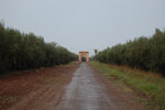 2009-12-21_14-52-03_DSC_3443.jpg