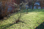 2009-12-26_12-00-53_DSC_3539.jpg
