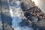 2009-12-26_12-01-22_DSC_3541.jpg