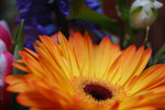 2009-12-26_13-28-49_DSC_3564.jpg