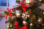 2009-12-26_15-23-55_DSC_3660.jpg