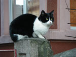 2009-12-29_15-37-33_IMGP1956.jpg