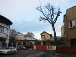 2009-12-31_16-01-37_IMGP2020.jpg