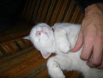 2009-12-31_22-17-37_IMGP2029.jpg