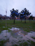 2010-01-02_16-44-28_IMGP2096.jpg