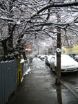 2010-01-03_13-28-47_IMGP2118.jpg