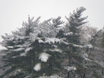 2010-01-03_15-15-18_IMGP2139.jpg