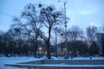 2010-01-05_16-52-16_DSC_3774.jpg