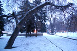 2010-01-05_16-53-27_DSC_3776.jpg