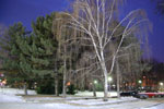 2010-01-05_17-24-45_DSC_3840.jpg
