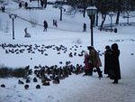 2010-01-07_15-45-20_IMGP2288.jpg
