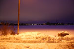 2010-01-17_18-24-34_DSC_4135.jpg