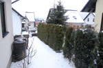 2010-01-18_17-26-50_DSC_4177.jpg