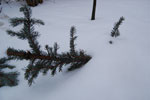 2010-01-18_17-27-05_DSC_4178.jpg