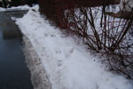 2010-01-18_17-27-18_DSC_4180.jpg
